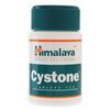 cs-online-support-24-Cystone